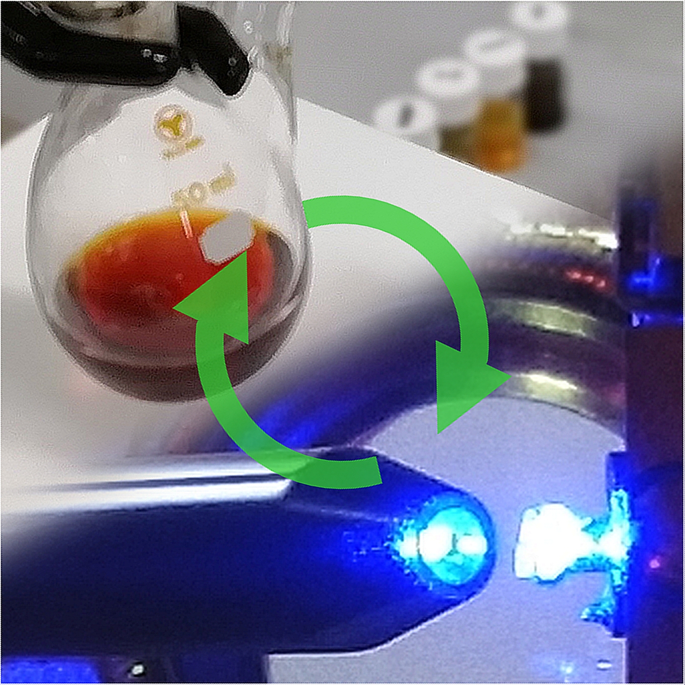 有機化学系 東京理科大学 創域理工学部 先端化学科