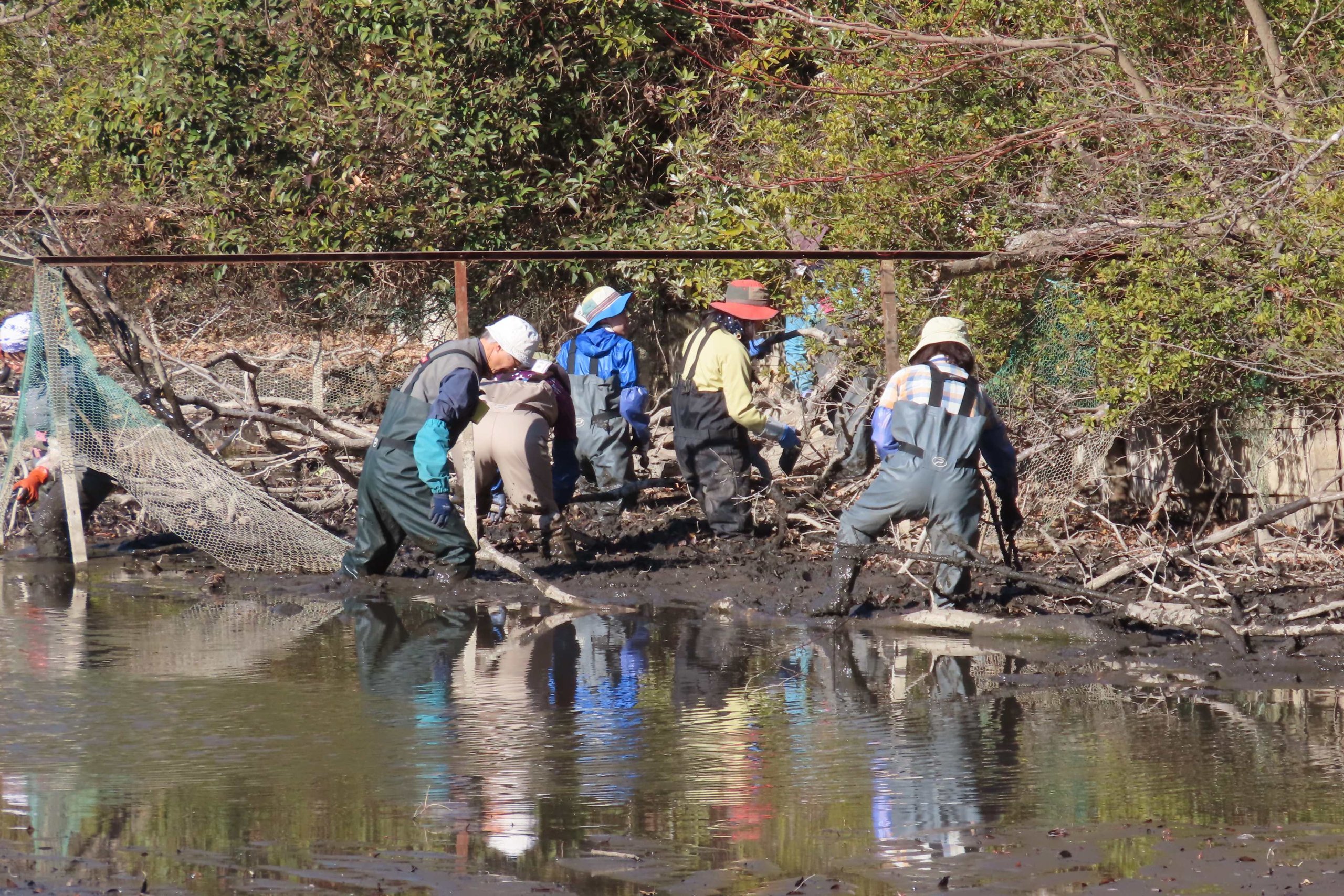 【実施報告】かいぼり後の理窓公園白鳥の池でメンテナンスを実施しました