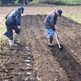 生態系実験農場を開設しました