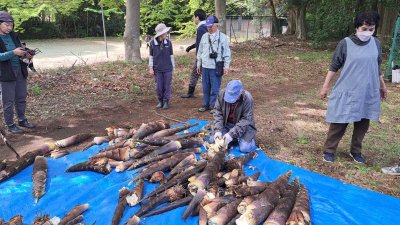 タケノコ掘り体験会を開催しました