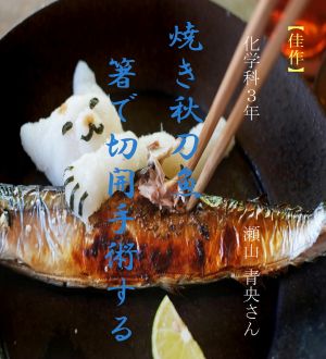一覧用画像